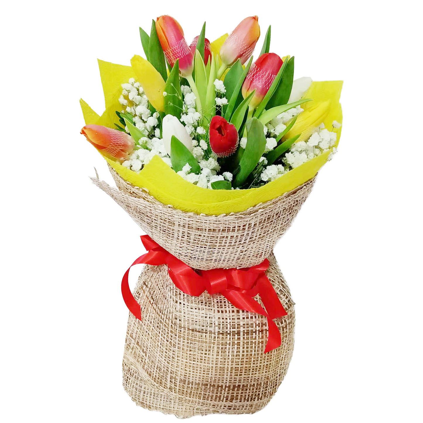 1 Dozen Mixed Tulips