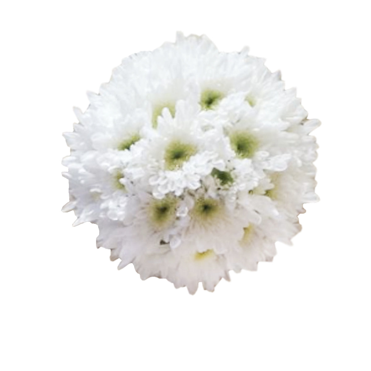 All White Vault Medalion