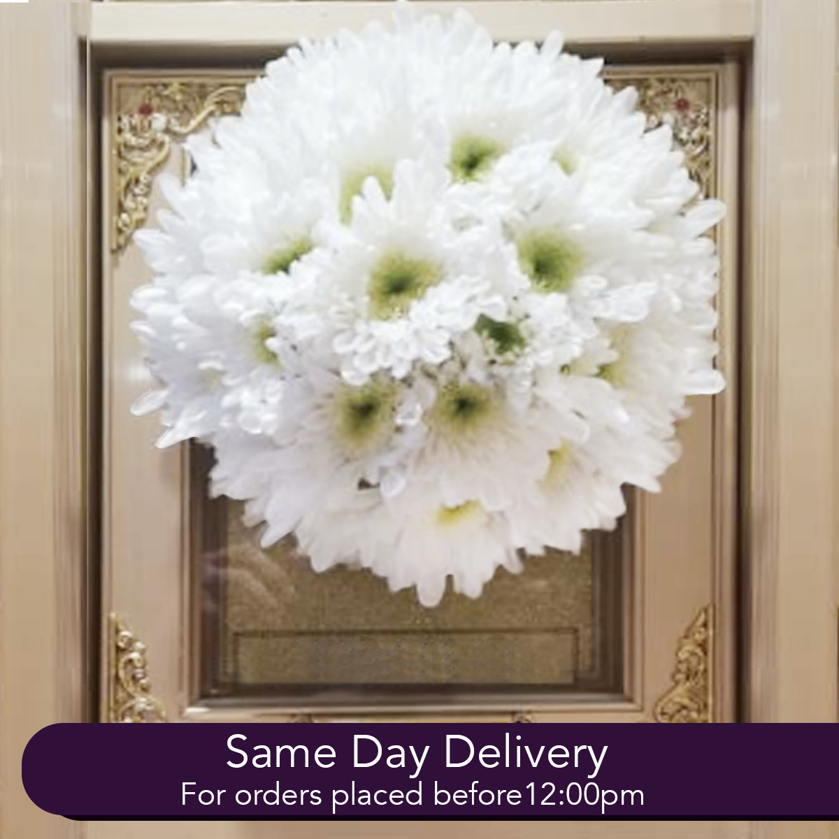 All White Vault Medalion