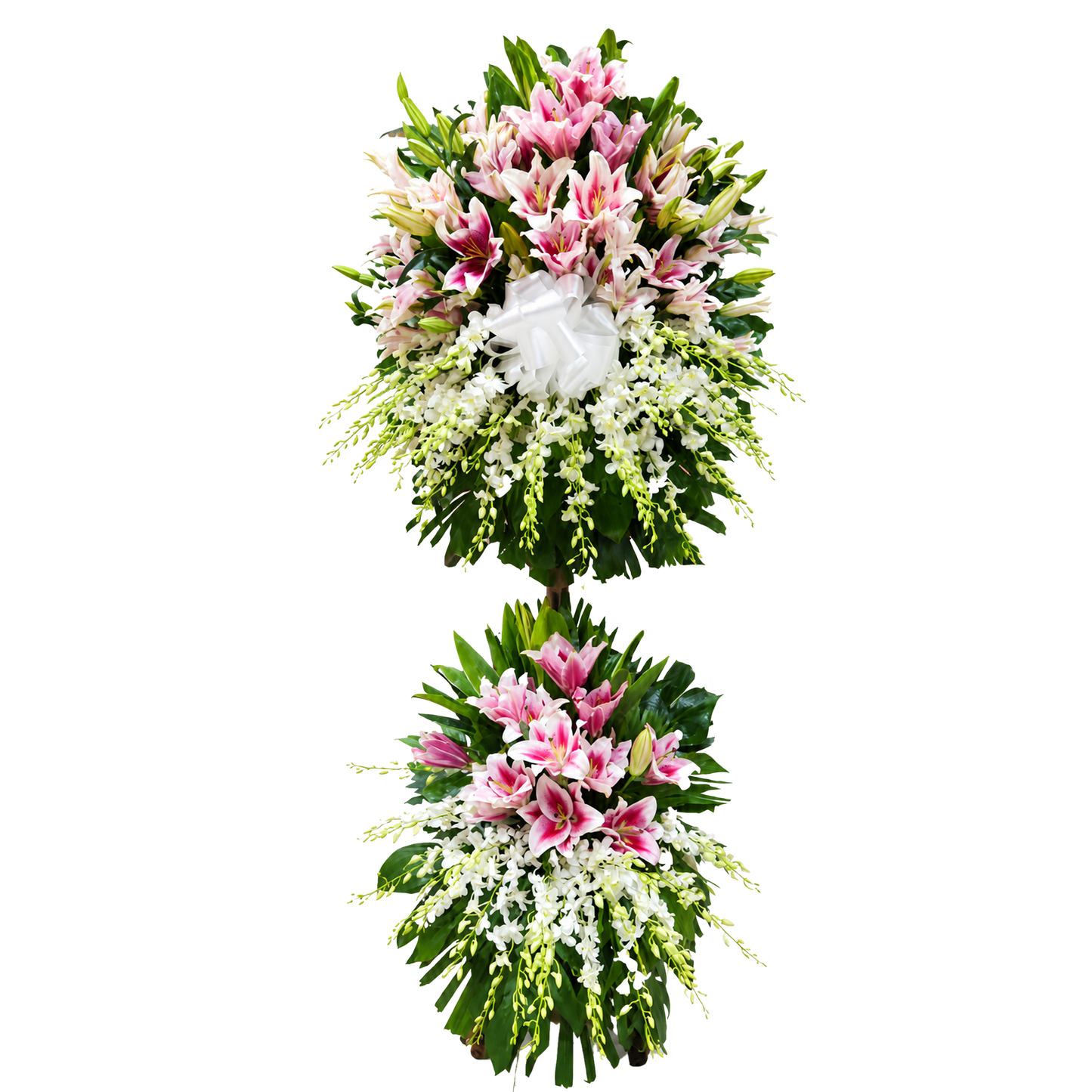 Stargazer Supernova