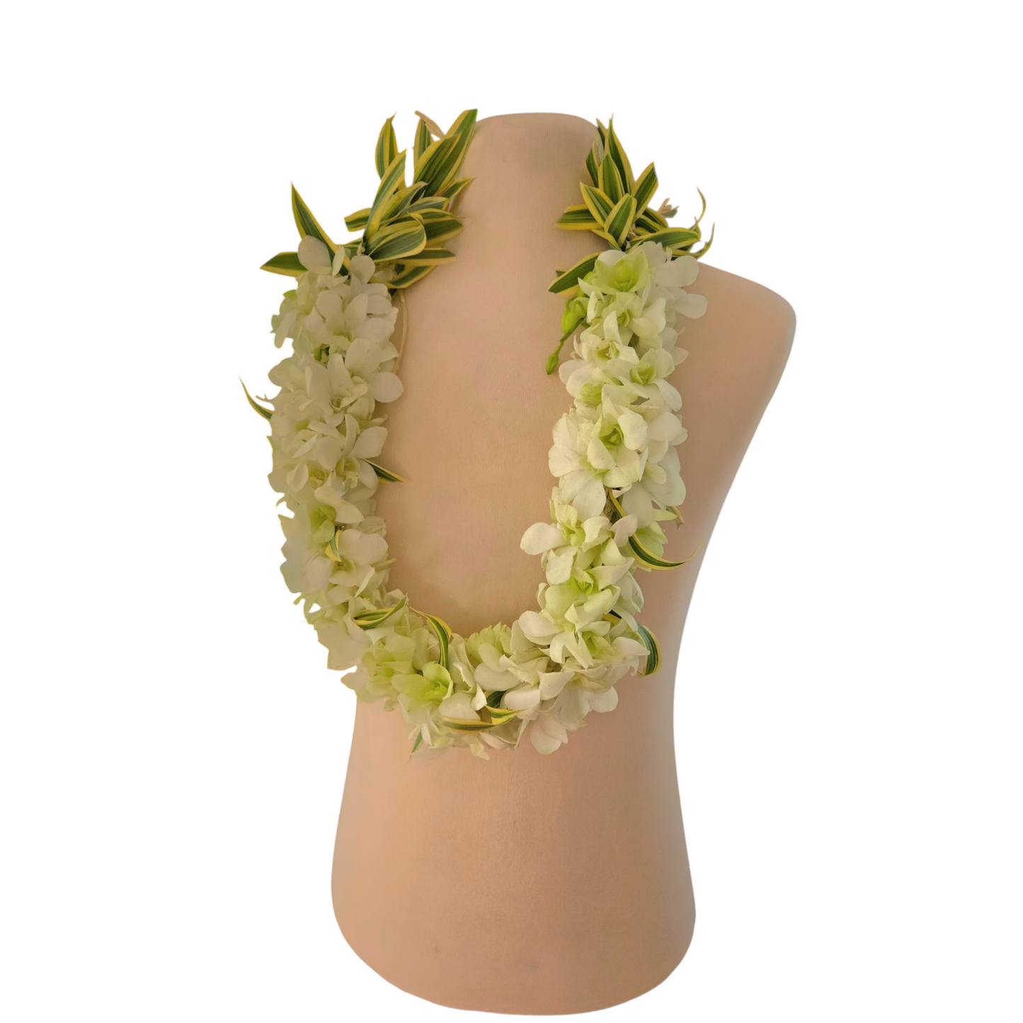 Fresh Orchid Lei