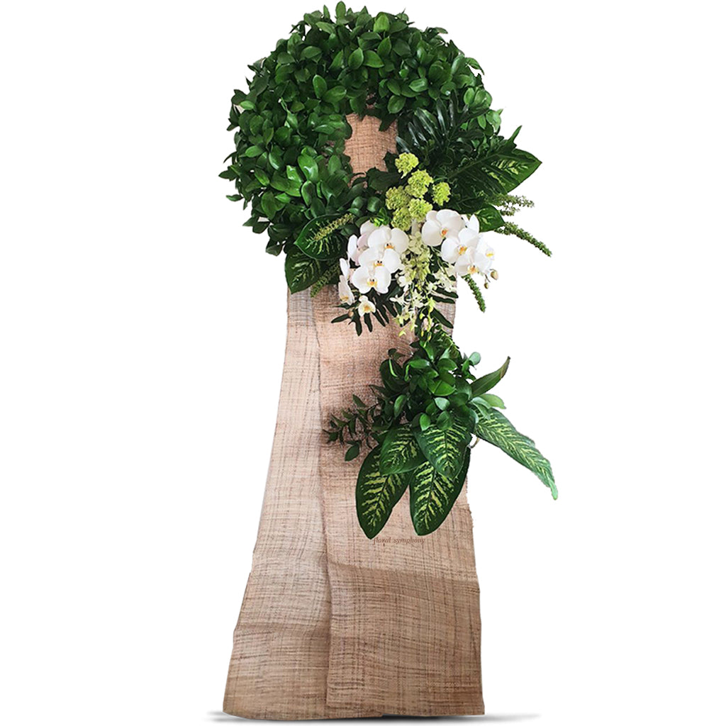 Phalaenopsis Verdure Wreath